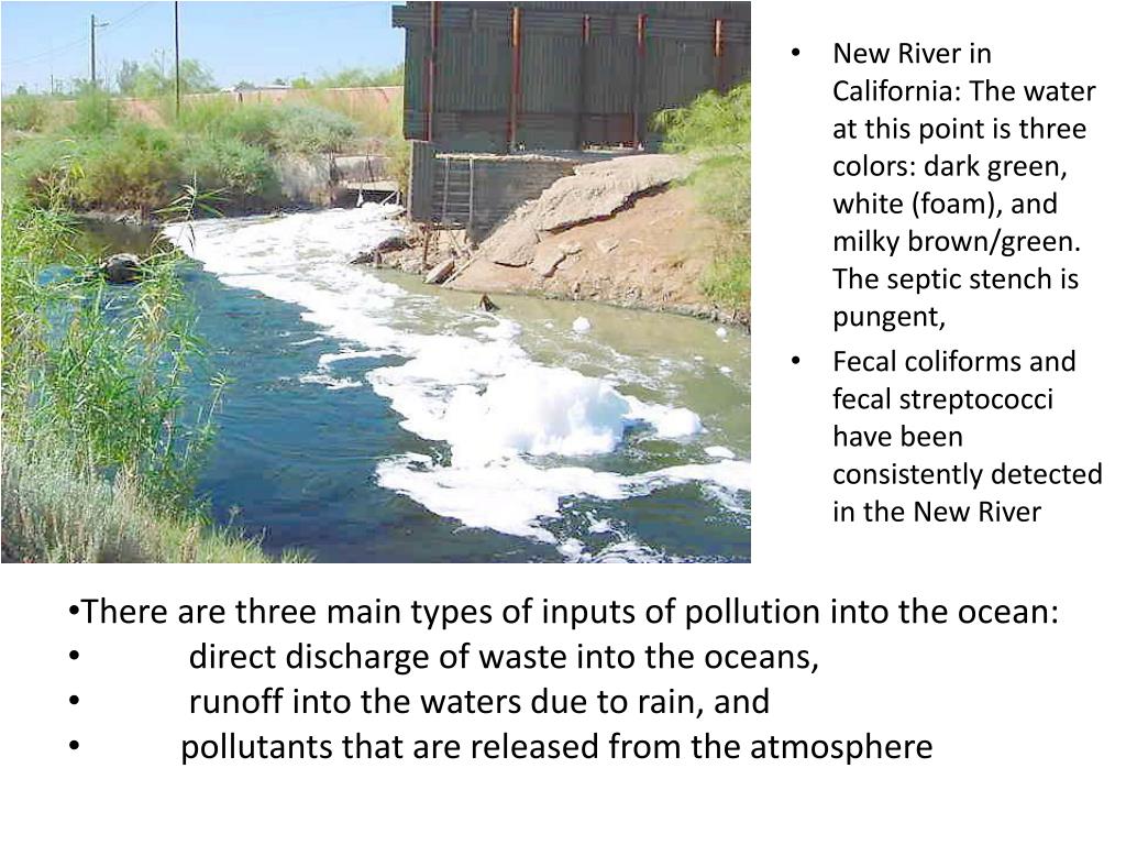 PPT Marine Pollution PowerPoint Presentation, free download ID762522