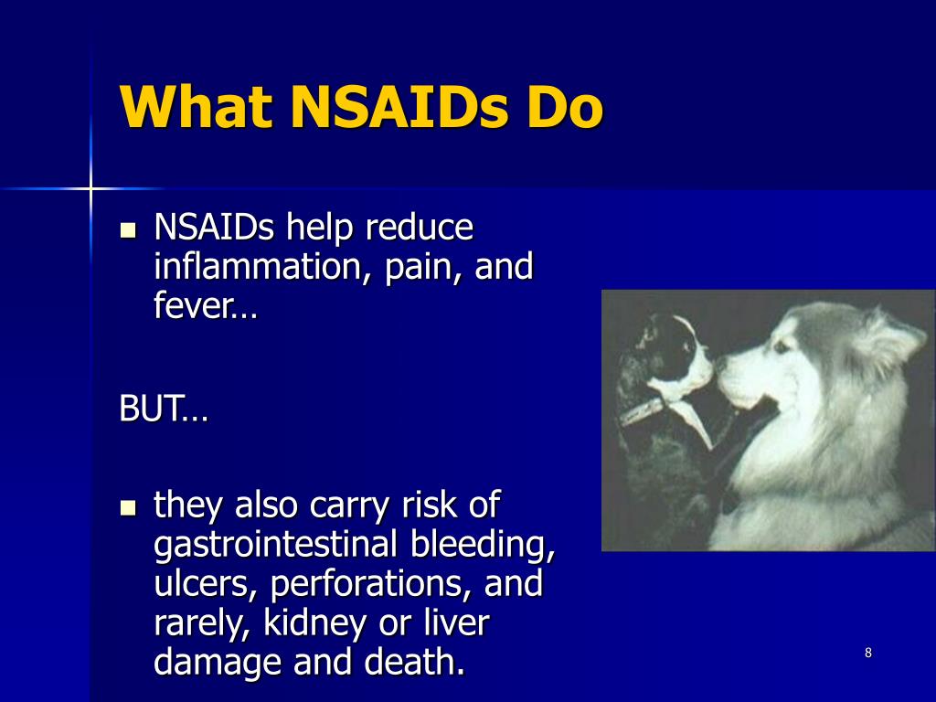 PPT Canine NSAIDs—What Dog Owners Should Know PowerPoint Presentation