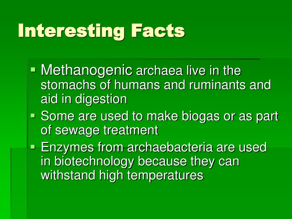 PPT Archaea Bacteria PowerPoint Presentation, free download ID763848
