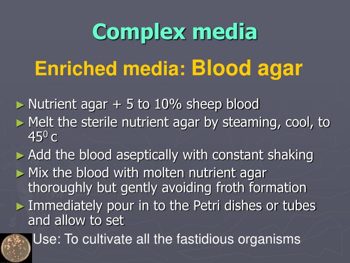 PPT Bacterial culture Media PowerPoint Presentation ID7661