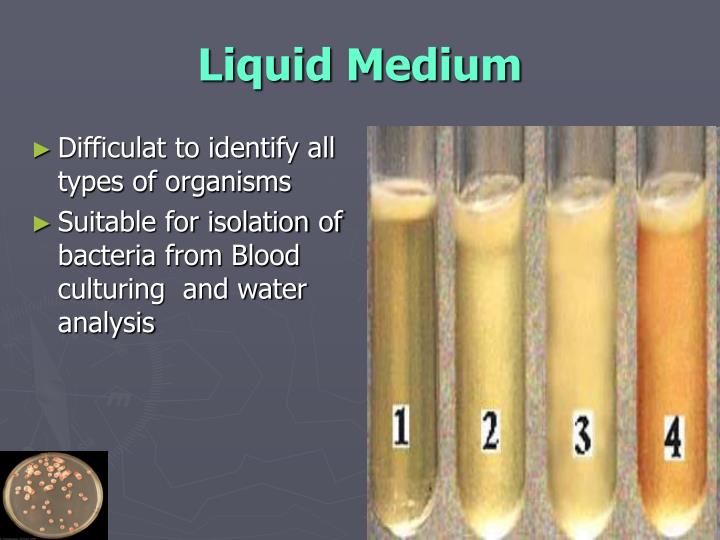 PPT Bacterial culture Media PowerPoint Presentation ID7661