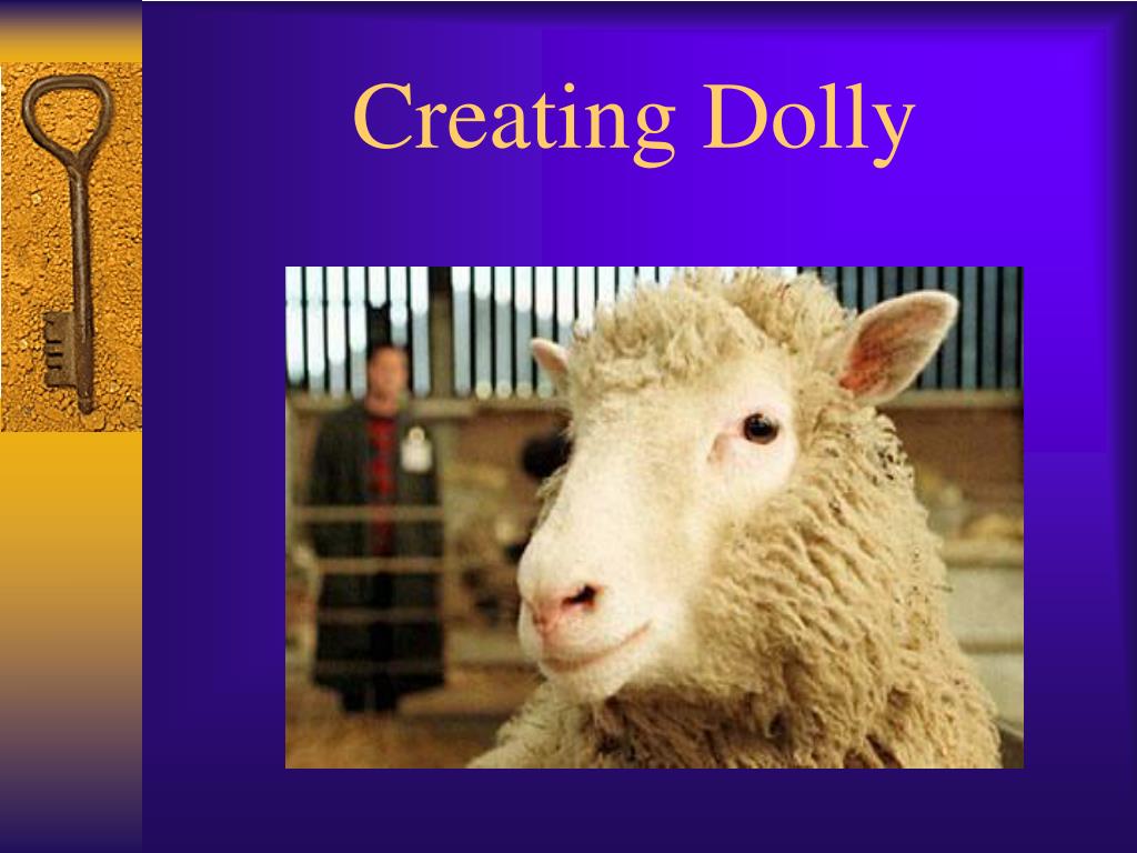 PPT Animal Cloning To Clone, or not to Clone PowerPoint