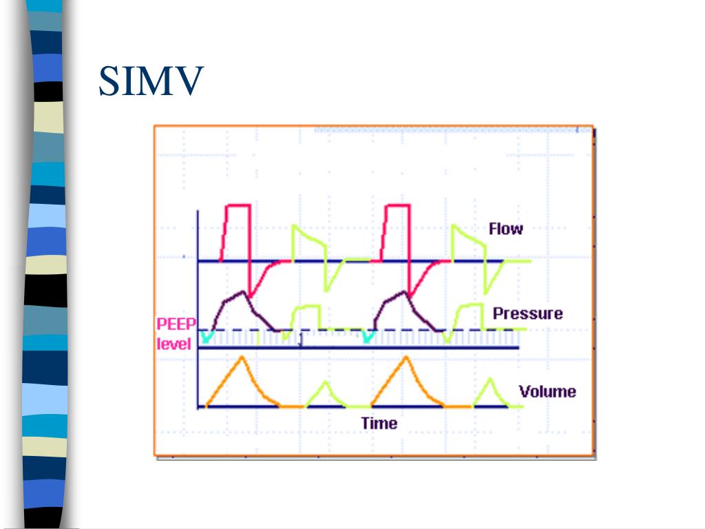 What Are The Indicators For Positive Pressure Ventilation Nrp at