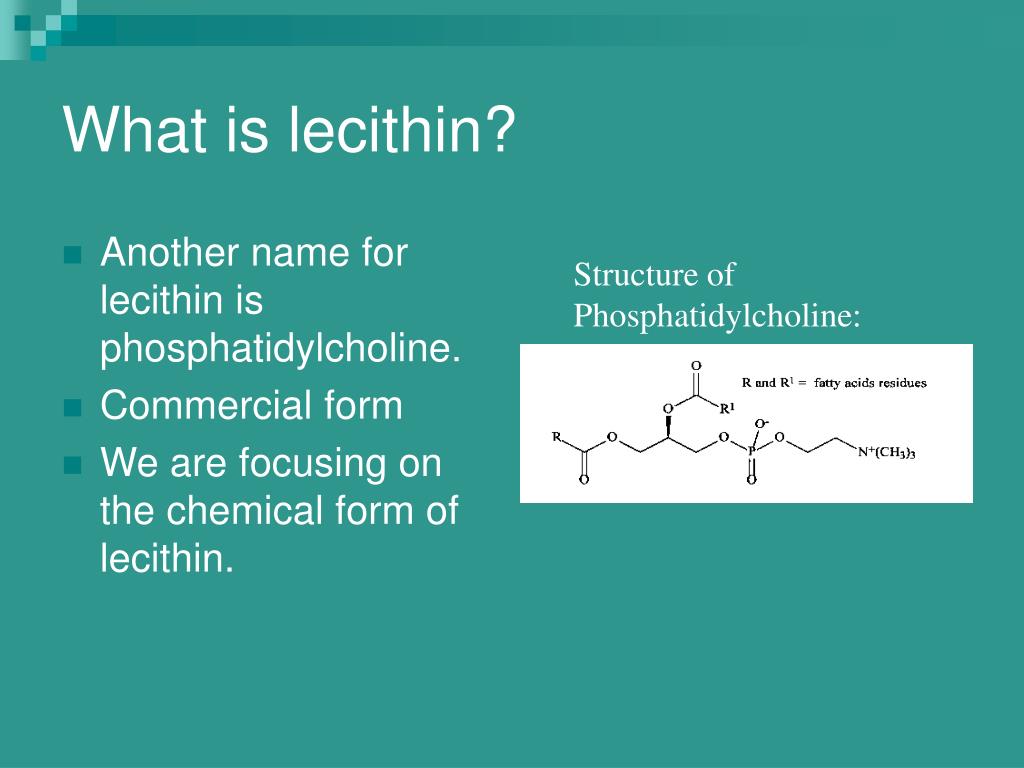 What Is Lecithin In Bile at Grant Kriebel blog