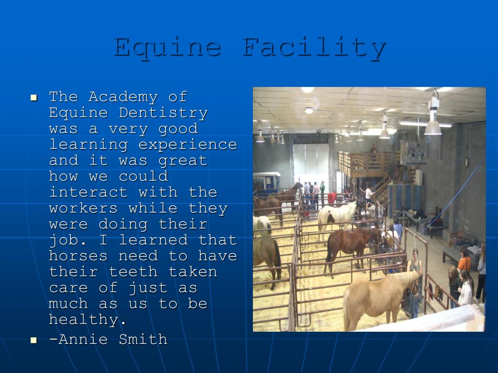 PPT Equine Science Field Trip Equine Dentistry Academy Glenn’s Ferry