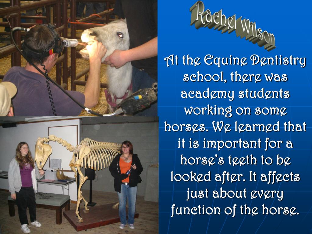 PPT Equine Science Field Trip Equine Dentistry Academy Glenn’s Ferry