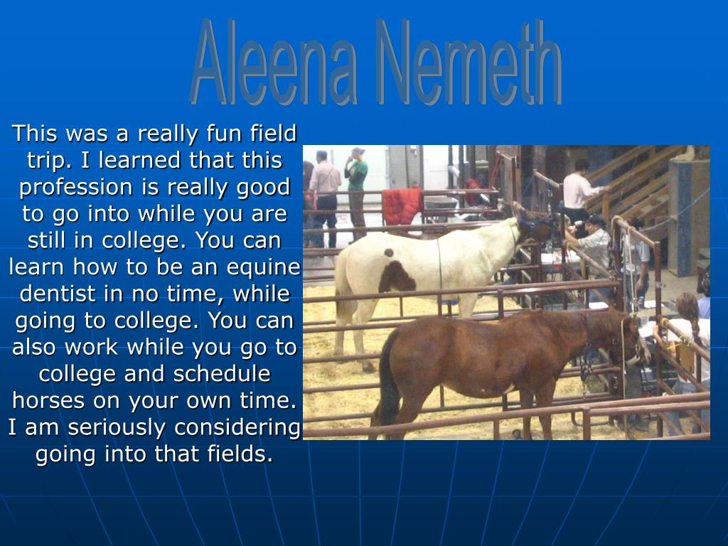 PPT Equine Science Field Trip Equine Dentistry Academy Glenn’s Ferry