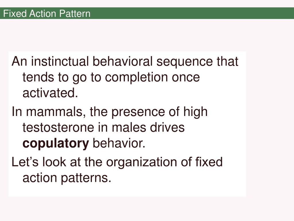 PPT The Development of Behavior PowerPoint Presentation, free