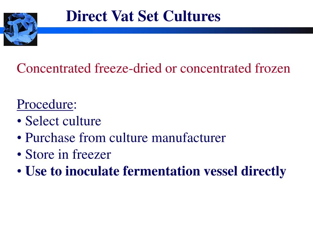 PPT Starter Cultures PowerPoint Presentation, free download ID770503