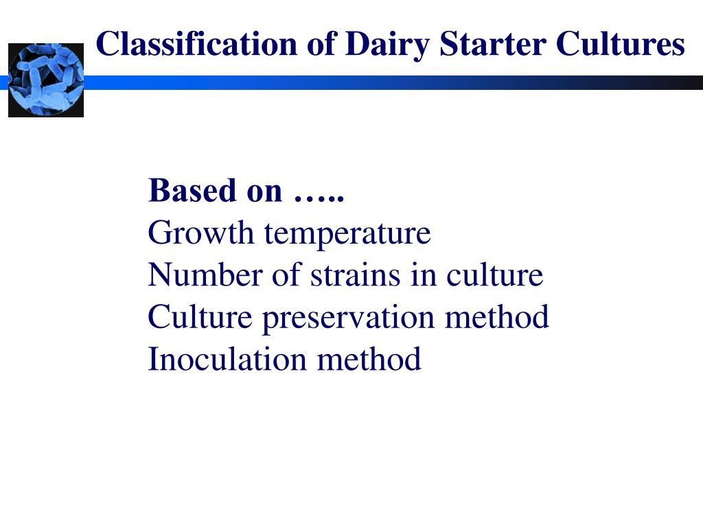 PPT Starter Cultures PowerPoint Presentation, free download ID770503