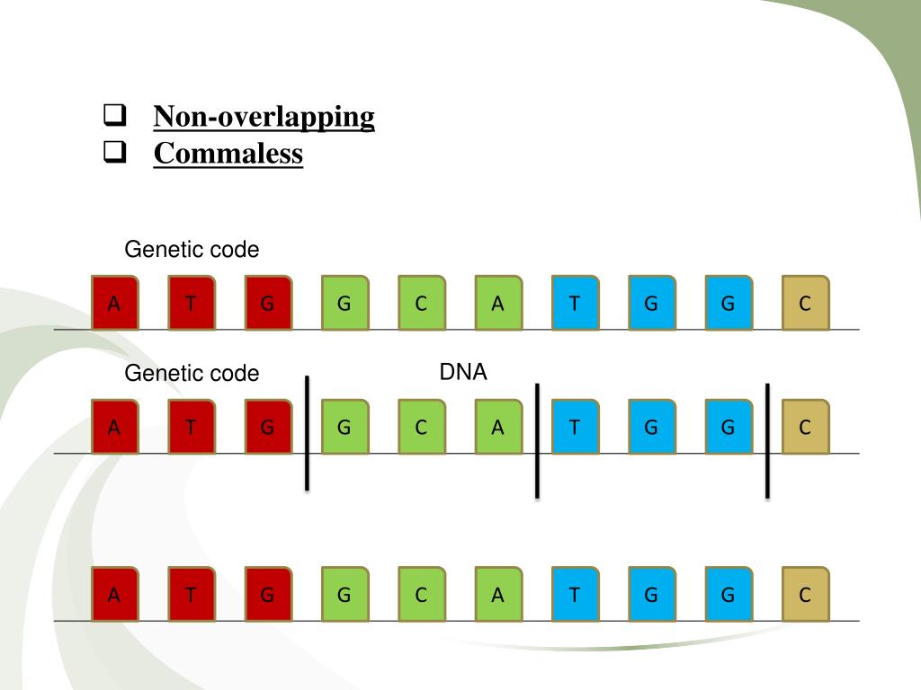 PPT DNA & information PowerPoint Presentation, free download