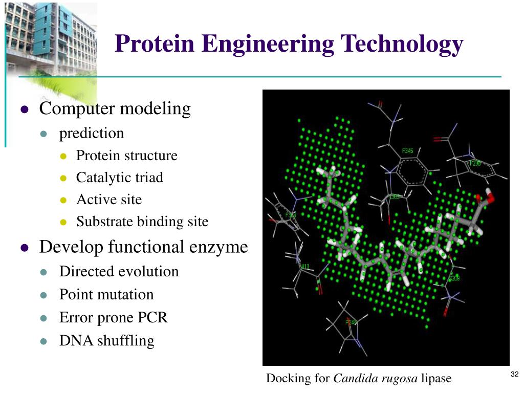 PPT Lipase Catalyzed Biodiesel Production PowerPoint