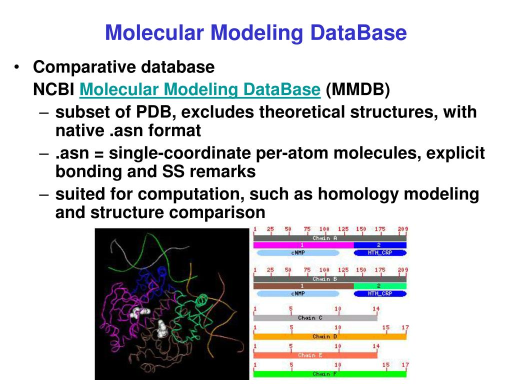 PPT Biophysics 101 Genomics & Computational Biology Section 8