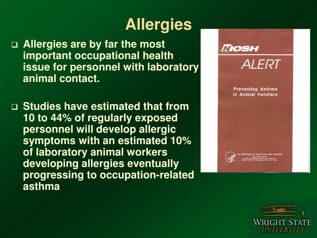 PPT Occupational Health and Safety for Personnel with Laboratory