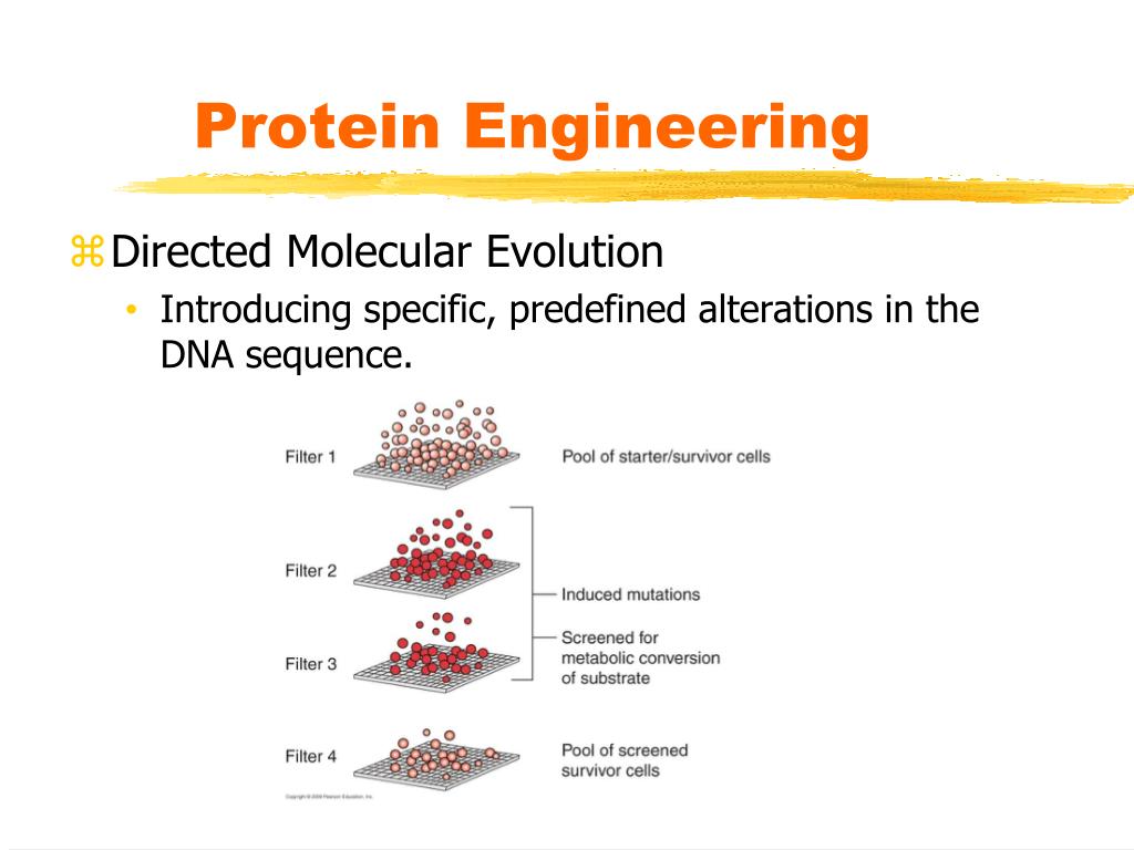PPT Chapter 4 PowerPoint Presentation, free download ID789751