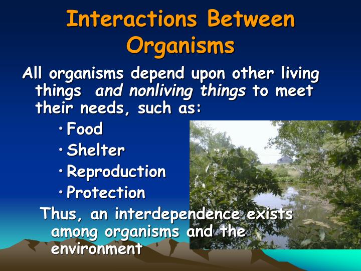 PPT Chapter 3 The Biosphere PowerPoint Presentation ID790133