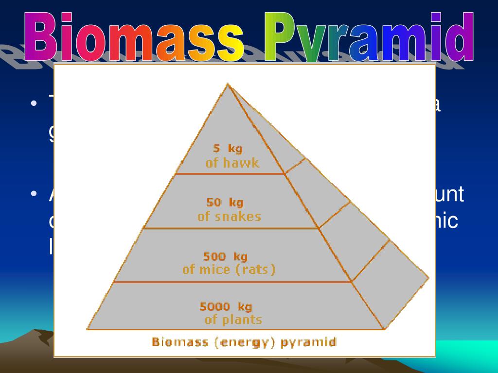 PPT Chapter 3 The Biosphere PowerPoint Presentation, free download