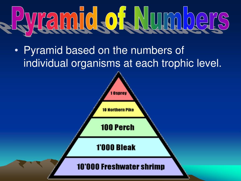 PPT Chapter 3 The Biosphere PowerPoint Presentation, free download