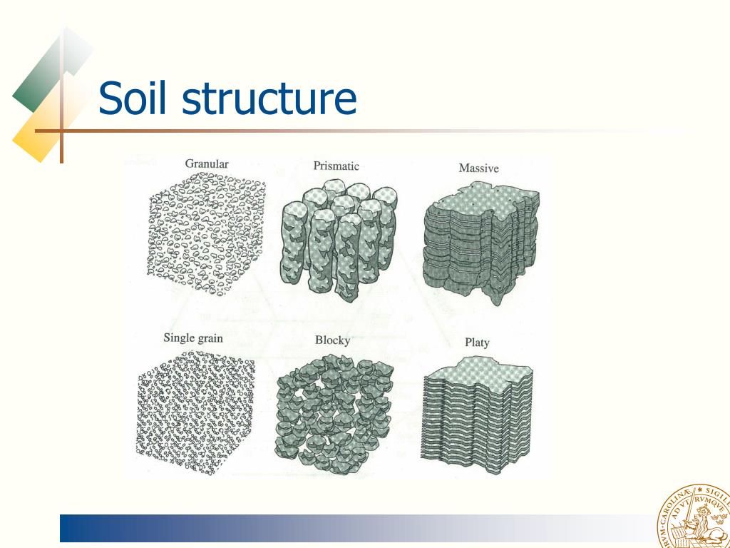 PPT Soil physics PowerPoint Presentation, free download ID790187