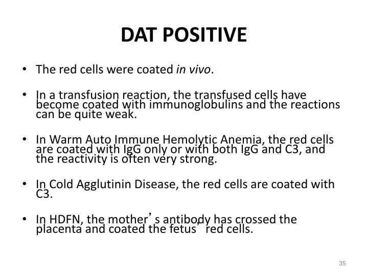 PPT BASIC ANTIBODY IDENTIFICATION PowerPoint Presentation ID790424