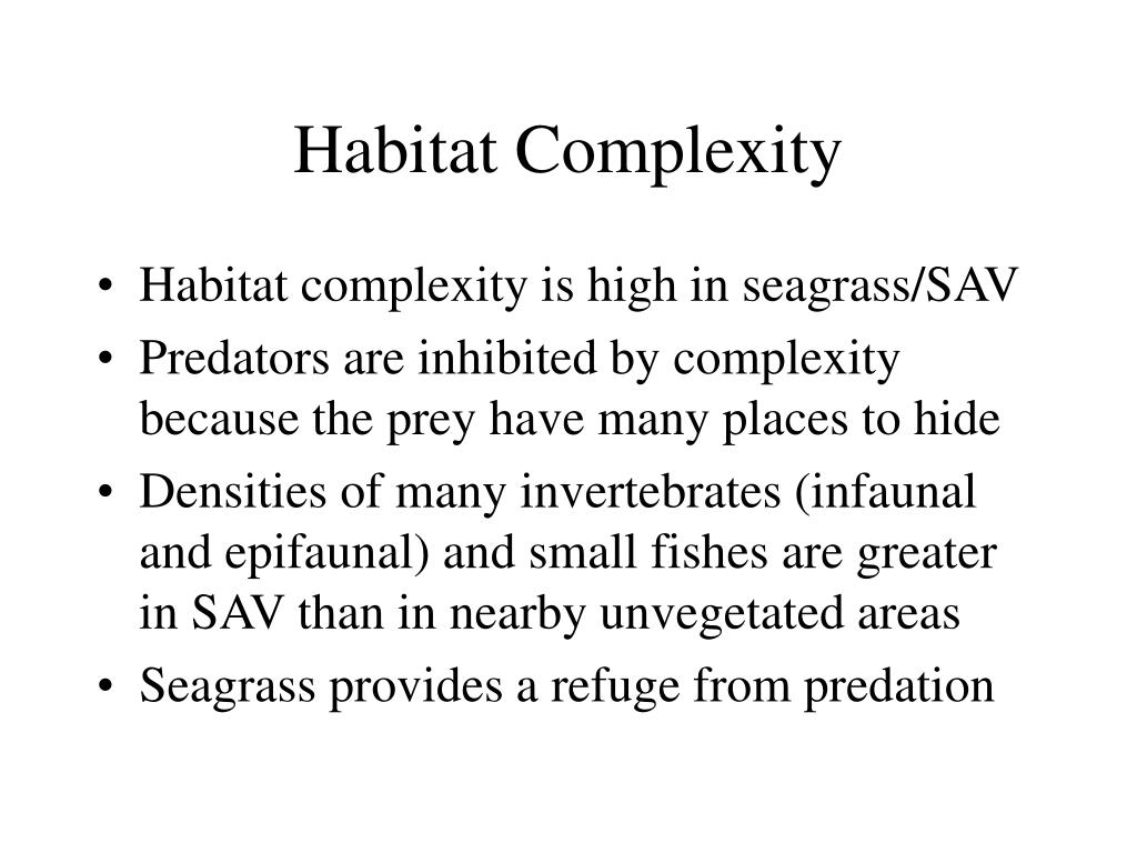 PPT Seagrass Ecology PowerPoint Presentation, free download ID791624