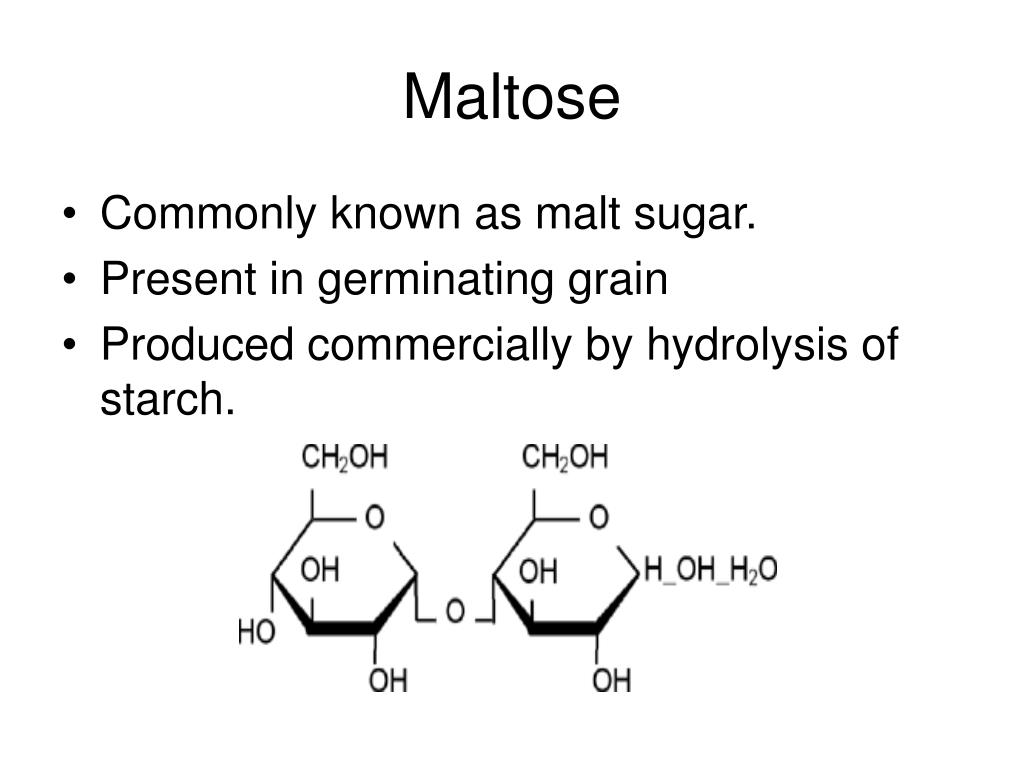 PPT Disaccharides PowerPoint Presentation, free download ID791794