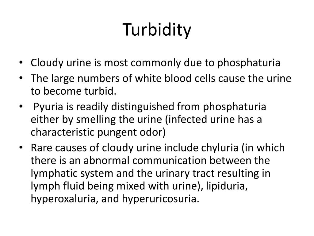 PPT URINALYSIS PowerPoint Presentation, free download ID794094