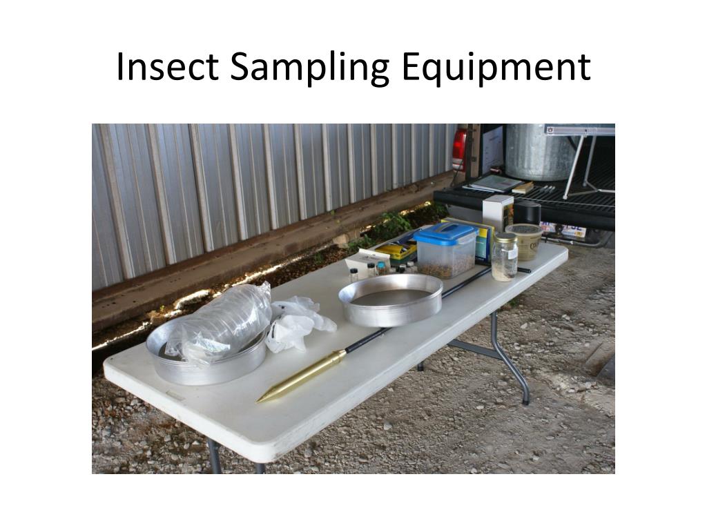 PPT Bags or Bins What’s The Difference PowerPoint Presentation, free