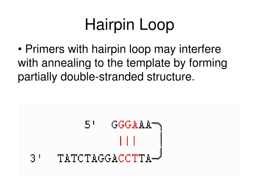 PPT Python Programming on PCR Primers Design PowerPoint Presentation