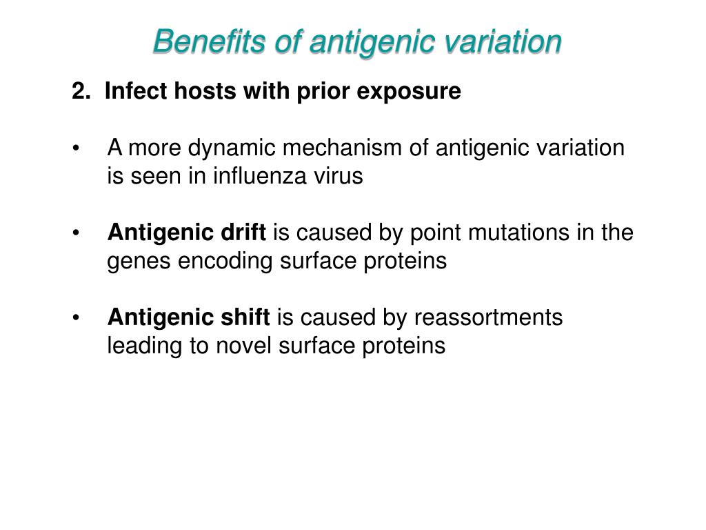 PPT Lecture 13 Immunology and disease parasite antigenic diversity