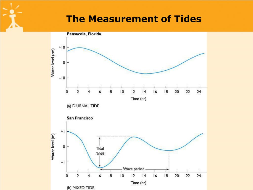 PPT Tides have a wave form, but differ from other waves because they