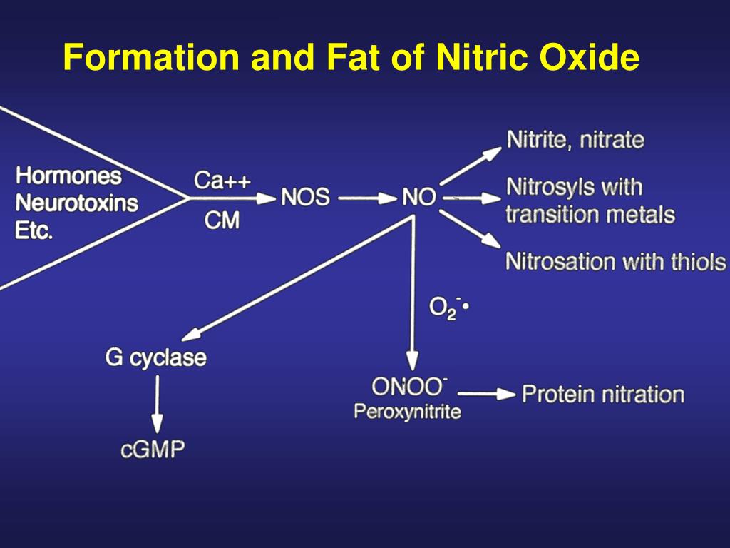 PPT Biological Effects of Nitric Oxide and its Role in Cell Signaling PowerPoint Presentation
