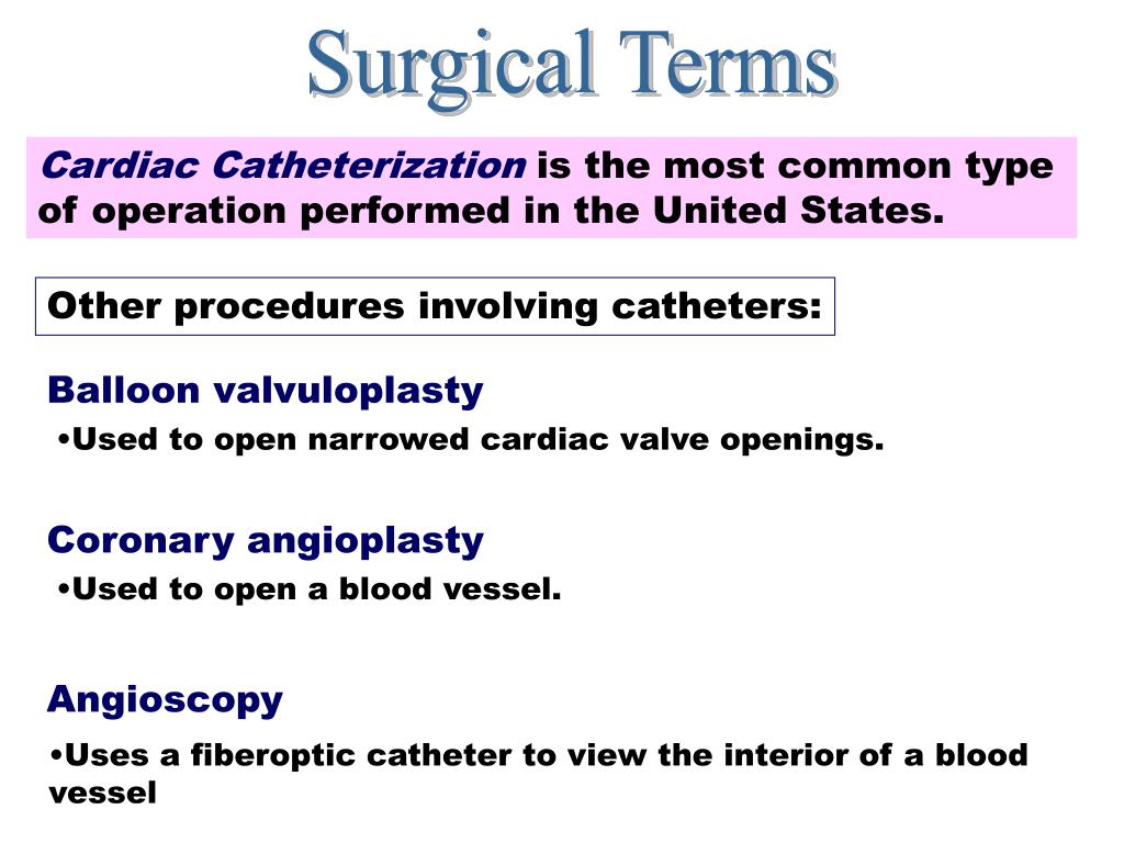 PPT Cardiovascular System PowerPoint Presentation, free download ID