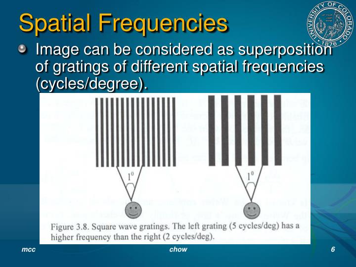 PPT Human Visual Systems and Perception PowerPoint Presentation ID