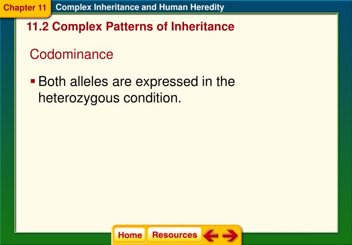 PPT Section 1 Basic Patterns of Human Inheritance PowerPoint