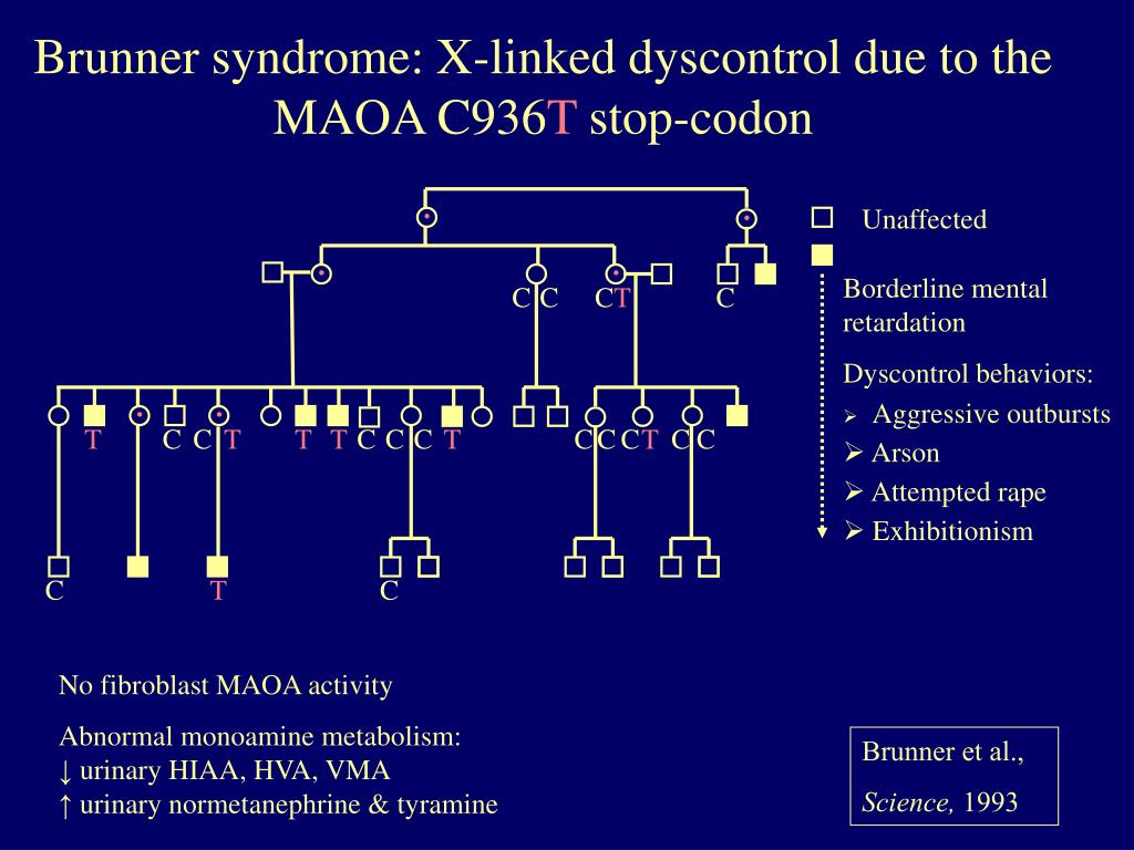 PPT Functional alleles & intermediate phenotypes in alcoholism and