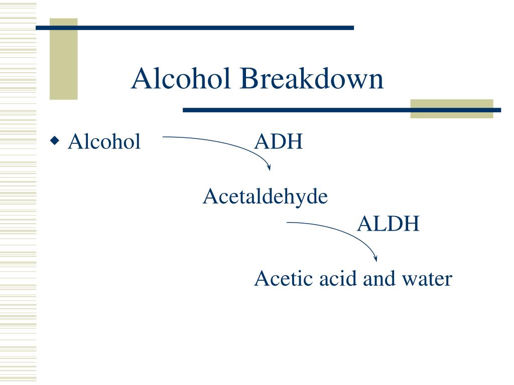 PPT Treatment of Alcoholism and Addiction PowerPoint Presentation