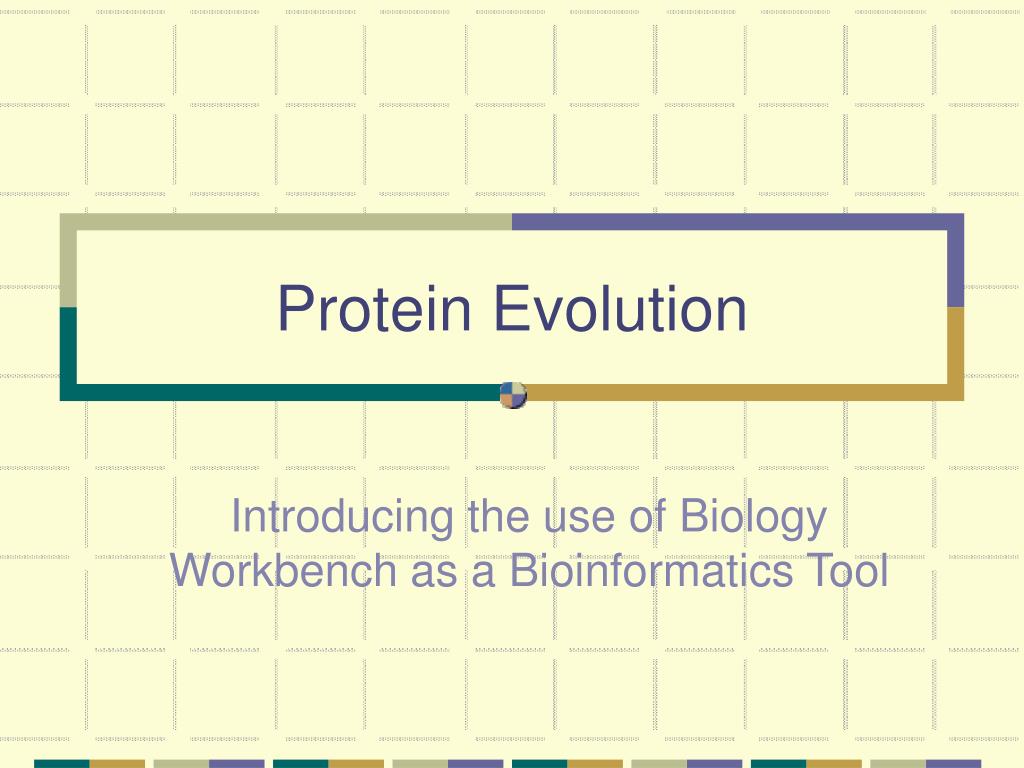 PPT Protein Evolution PowerPoint Presentation, free download ID817493