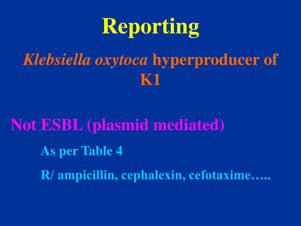 PPT Klebsiella oxytoca and K1 enzyme (indole positive) Chromosomal R