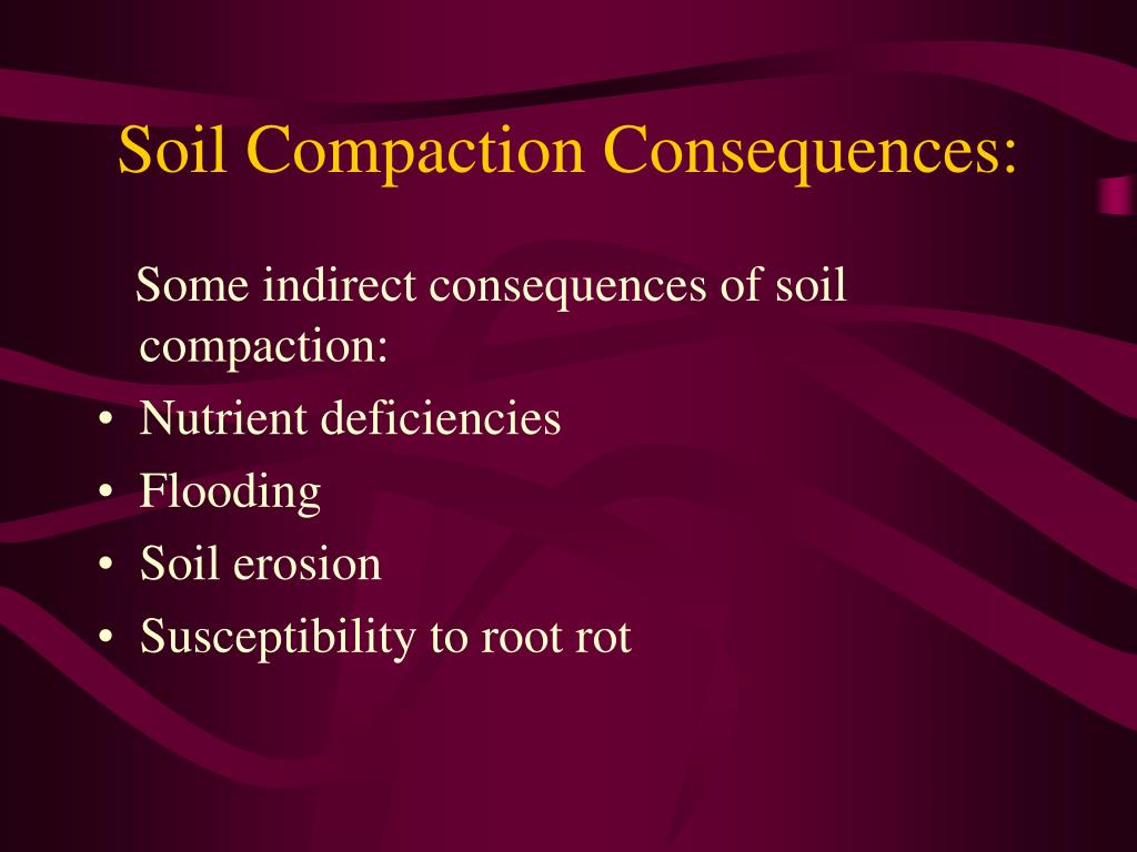 PPT Certified Landscape Professional Exam Study Series PowerPoint