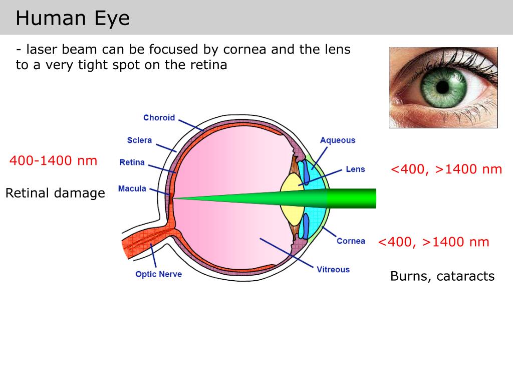 PPT Laser Safety PowerPoint Presentation, free download ID821679