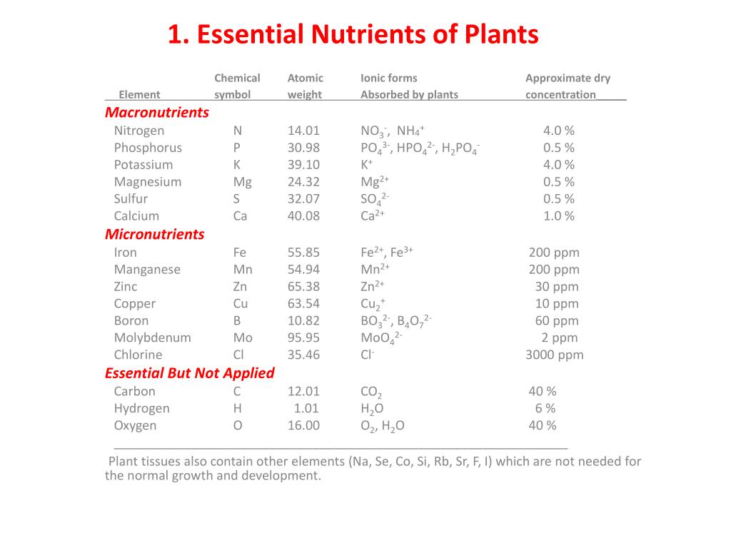 PPT Chapter 13 . Plant Nutrition PowerPoint Presentation, free