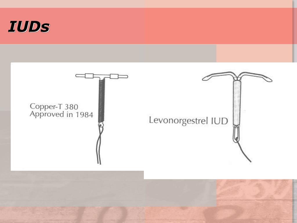 PPT Family Planning PowerPoint Presentation, free download ID823112
