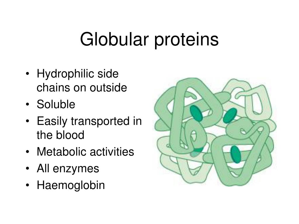 PPT Biological Molecules PowerPoint Presentation, free download ID