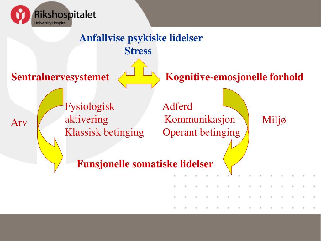 PPT Division of Clinical Neuroscience Dept of