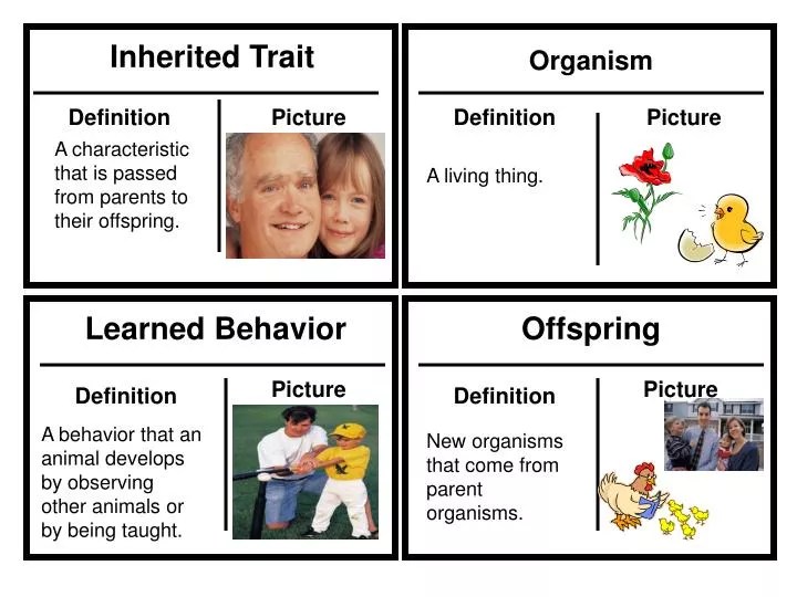 PPT Inherited Trait PowerPoint Presentation, free download ID826974