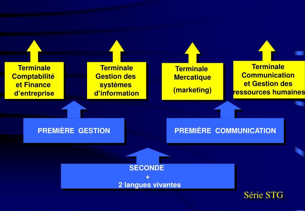 Economie en Terminale STMG Hachette Éducation