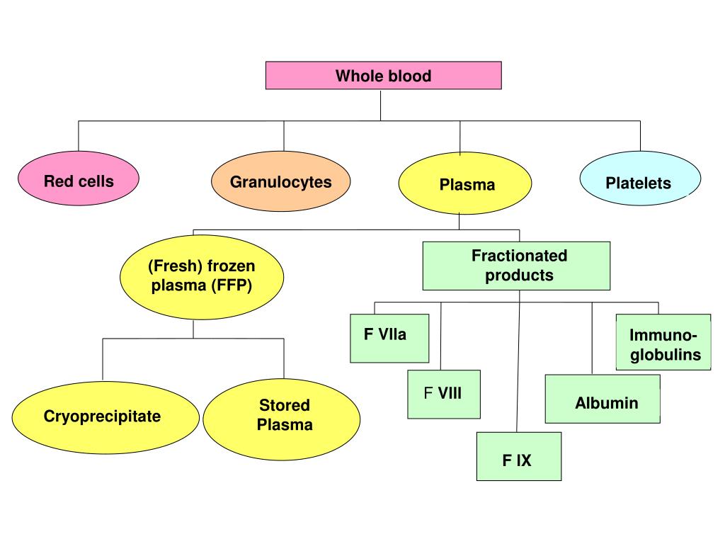 PPT Blood Components and Plasma derivatives PowerPoint Presentation