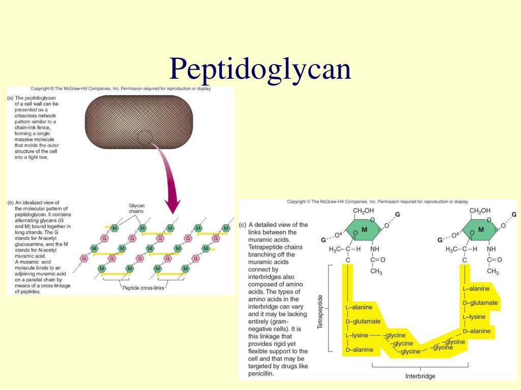 PPT Fig. 4.1 PowerPoint Presentation, free download ID833830