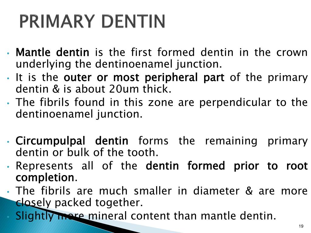 PPT DENTIN PowerPoint Presentation, free download ID835637